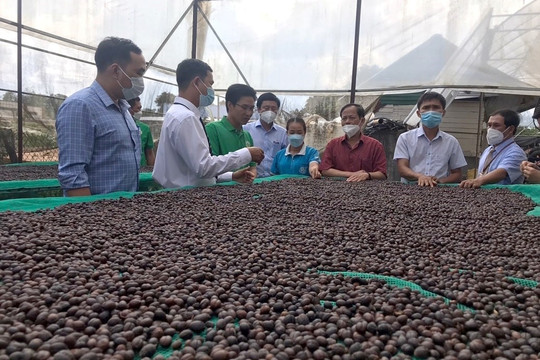 Sustainable Growth of the Coffee Industry