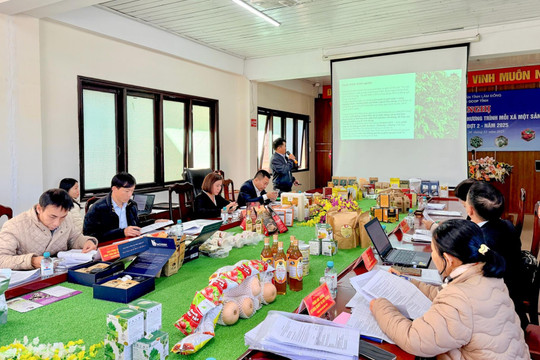 Lâm Đồng phân hạng sản phẩm OCOP cấp tỉnh đợt 2 năm 2025