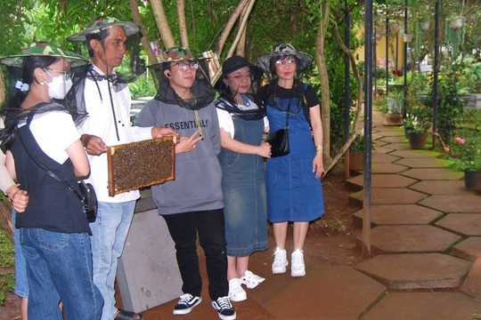 Scaling Up New Agricultural Extension Models in Lam Dong