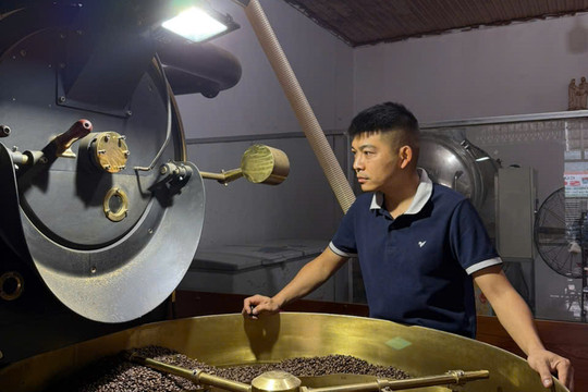 Khởi nghiệp với sản xuất cà phê theo chuỗi