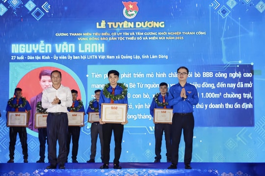 Mô hình nuôi bò hữu cơ: Khi tri thức tạo nên giá trị bền vững