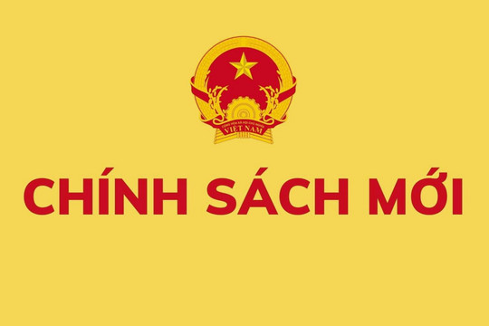 Nghị định 344/2025/NĐ-CP điều chỉnh mức trợ cấp hằng tháng với thanh niên xung phong