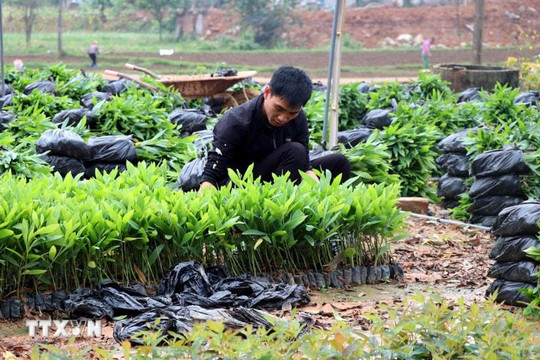 Quy định mới về đối tượng không chịu thuế giá trị gia tăng