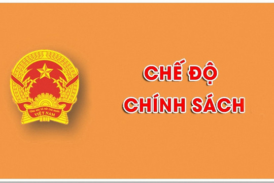 Quy định hợp đồng làm việc đối với viên chức, chấm dứt hợp đồng