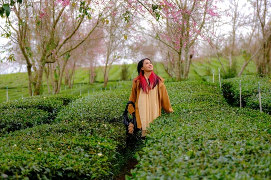 Lâm Đồng bảo đảm phục vụ du khách tốt nhất dịp Tết Dương lịch 2026