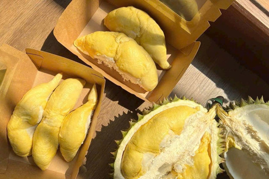 Giá sầu riêng ngày 1/1/2026: Sầu riêng Thái duy trì mốc 100.000 đồng/kg