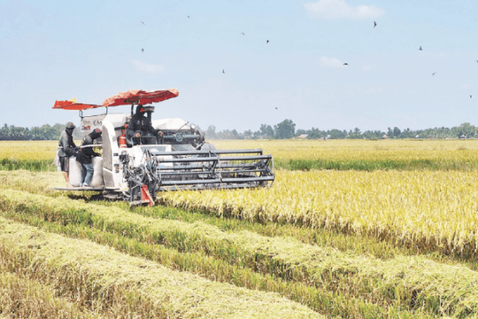 Mở rộng hợp tác công-tư trong lĩnh vực khuyến nông