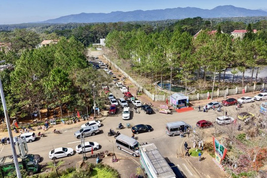 Tết Dương lịch: Hà Giang và Măng Đen kẹt cứng trong khi Đà Lạt bất ngờ thông thoáng