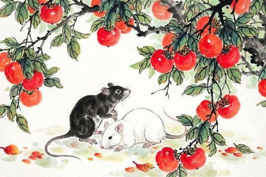 12 con giáp ngày 4/1/2026: Tuổi Mão phát tài, tuổi Tý duy trì ổn định