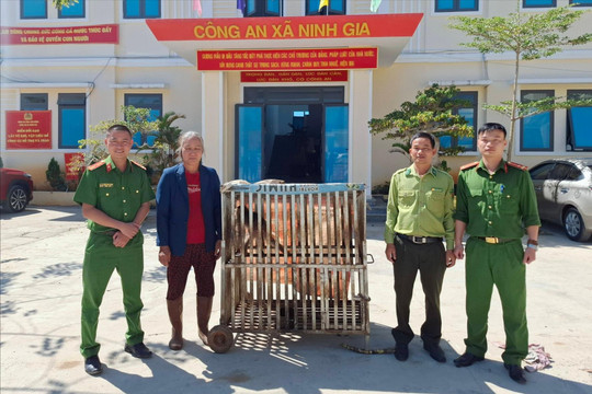 Người dân Lâm Đồng tự nguyện giao nộp cá thể khỉ quý hiếm
