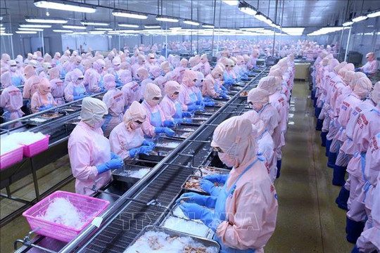 Từng bước tháo gỡ khi Mỹ cấm nhập 12 nhóm loài thủy sản Việt Nam