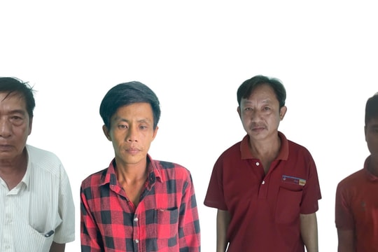 An Giang: Khởi tố nhóm đối tượng giả danh chủ lúa để lừa đảo chiếm đoạt hơn 3,3 tỷ đồng