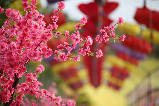 Để người dân vui xuân đón tết an toàn