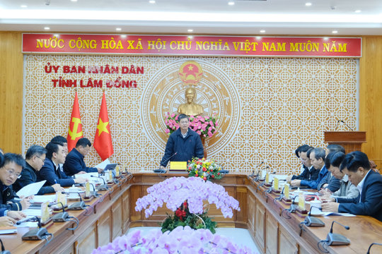Lâm Đồng tháo gỡ vướng mắc trong chăm sóc cây xanh, vệ sinh môi trường tại Đà Lạt