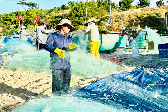 Những chuyến biển đón “lộc tết”