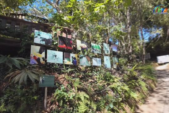 The Art Street: Where Creativity Breathes with Da Lat’s Urban Rhythm