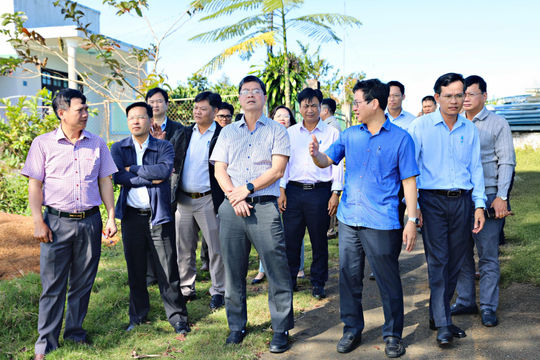 Khẩn trương triển khai quy hoạch chung đô thị liên phường Bảo Lộc