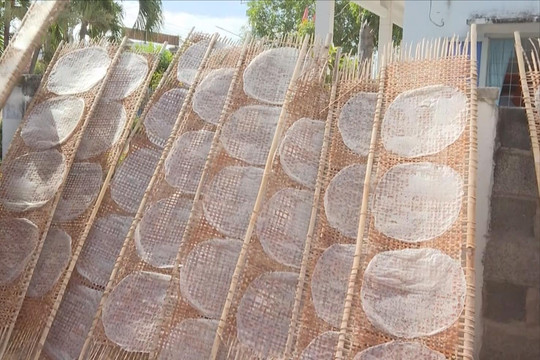 Binh An Village Enters Peak Rice Paper Production Season for Tet