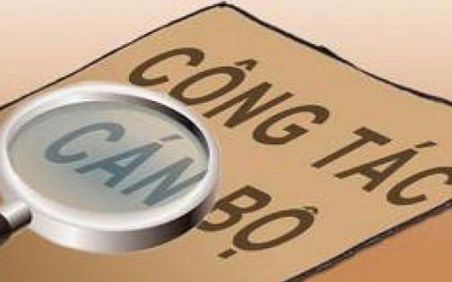 Quy định bổ nhiệm, điều động, thôi việc, nghỉ hưu đối với viên chức