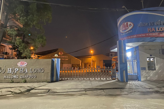 Hải Phòng: Khởi tố 9 bị can tuồn 120 tấn thịt lợn bệnh vào Công ty Đồ hộp Hạ Long