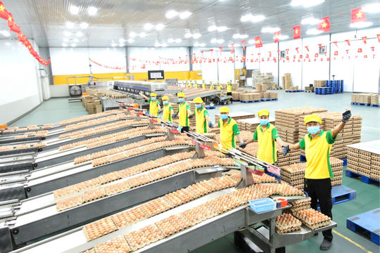 TAFA Group - Tết của niềm tin Việt Nam: Từ quả trứng nhỏ - vươn tầm thế giới