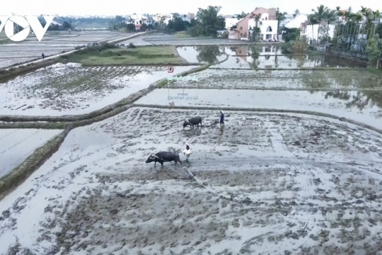 Đà Nẵng: Trải nghiệm làm nông dân và thợ gốm tại các làng quê yên bình