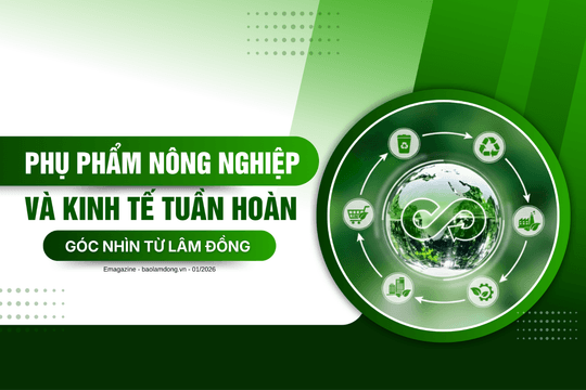 Phụ phẩm nông nghiệp và kinh tế tuần hoàn – Góc nhìn từ Lâm Đồng