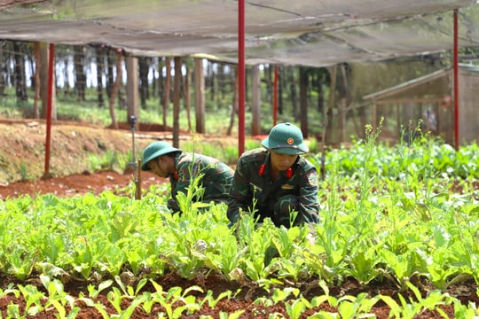 Chuẩn bị chu đáo cho bộ đội đón tết