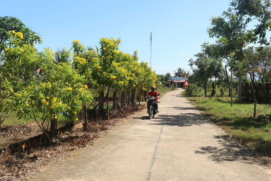 Sáng, xanh, sạch, đẹp ở Bắc Ruộng