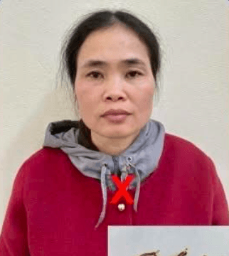 Thanh Hóa: Tạm giữ đối tượng sát hại người thân, cướp đôi hoa tai vàng
