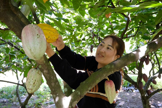 Đầm Ròn hôm nay đổi thay từng ngày