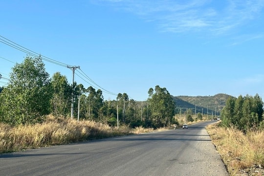 Quốc lộ 28B nối Phan Thiết - Đà Lạt: Tập trung thông tuyến vào tháng 3/2026