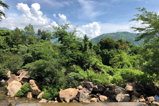 Suối Lạnh Ninh Thuận: Kinh nghiệm khám phá điểm dã ngoại hoang sơ và mát lạnh giữa núi rừng Bác Ái
