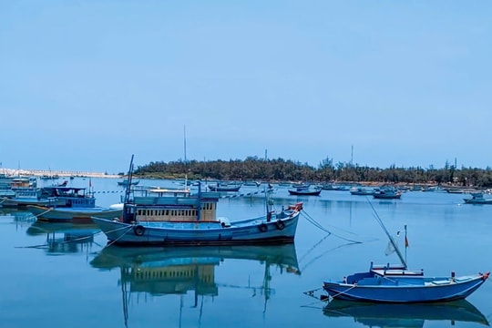 Thủy sản vượt khó hoàn thành các chỉ tiêu