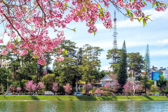 Lam Dong launches second round of fresh-flower gateway design contest at Prenn Pass