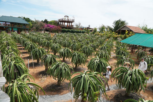 Orchards Welcome Visitors