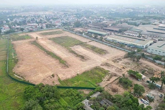 Căn cứ chuyển mục đích sử dụng đất dự án