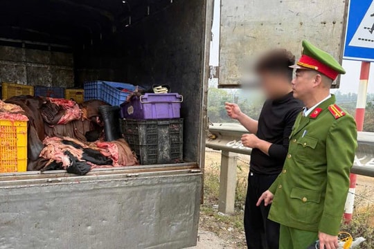 Công an Phú Thọ thu giữ 1,2 tấn sản phẩm động vật không đảm bảo vệ sinh thú y
