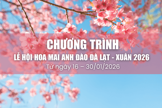 11 sự kiện hấp dẫn tại Lễ hội Hoa mai anh đào Đà Lạt - Xuân 2026
