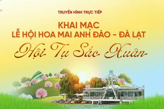 Khai mạc Lễ hội Hoa mai anh đào Đà Lạt – Xuân 2026