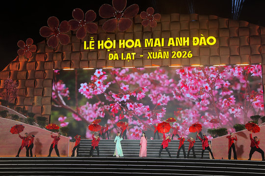 The Da Lat Cherry Blossom Festival - Spring 2026 Opens, Kicking Off Spring Cultural Series
