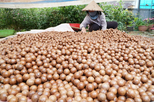 Gỡ nút thắt chế biến, nâng giá trị nông sản Lâm Đồng