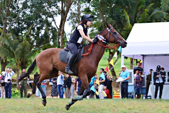 Đề xuất thành lập Liên đoàn Ngựa biểu diễn, Mã cầu và Đua ngựa Việt Nam: Từ nhu cầu thực tiễn đến cơ hội hội nhập thể thao khu vực và thế giới