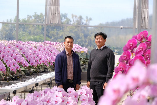 Yến Sang Anh - Kết tinh giá trị cao nguyên trong từng cánh lan hồ điệp