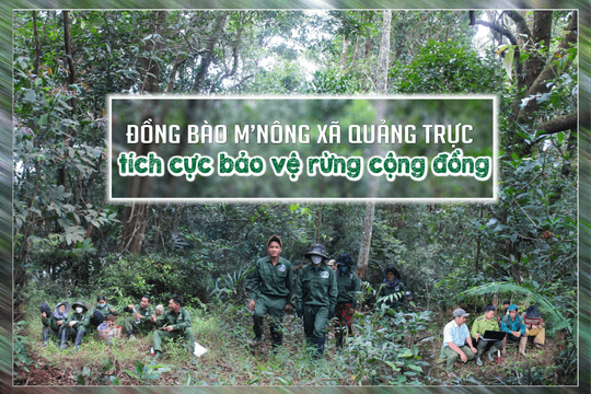 Đồng bào M’nông xã Quảng Trực tích cực bảo vệ rừng cộng đồng
