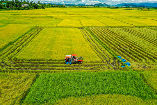 Khơi dậy khát vọng phát triển từ tinh thần Đại hội XIV của Đảng