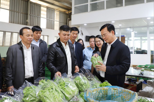 Kinh tế Lâm Đồng kỳ vọng tăng trưởng bền vững