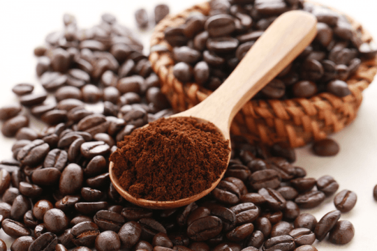 Giá cà phê ngày 19/1: Thị trường trong nước đi ngang, Arabica giảm sâu tại New York