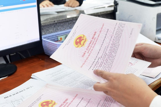 Đất tăng thêm do lấn chiếm, xử phạt trước khi xem xét cấp sổ