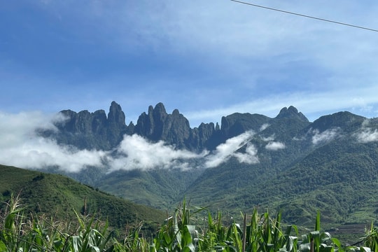 Ngũ Chỉ Sơn: Chinh phục đỉnh núi bàn tay và biển mây huyền ảo vùng Tây Bắc